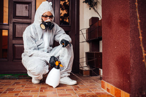Reliable Wasp Removal contractor in Clarkesville, GA by Show Me Pest Control